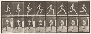Levy 65. Käytössä täydellä nopeudella., 1872-1885 tekijältä Eadweard Muybridge