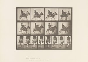 Levy 668. Ass; Ambling; Satula; Poika ratsastaa, eläintarha tekijältä Eadweard Muybridge