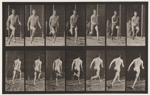 Levy 66. Juokse tekijältä Eadweard Muybridge