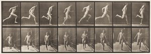 Levy 67. Juoksu, 1872-1885 tekijältä Eadweard Muybridge