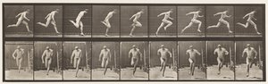 Levy 68. Juoksu, 1872-1885 tekijältä Eadweard Muybridge