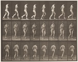 Levy 70. Running., 1872-1885 tekijältä Eadweard Muybridge