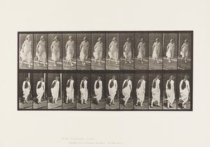 Levy 71. Juoksu, 1885 tekijältä Eadweard Muybridge