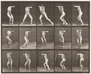 Levy 73. Yllätyksessä kääntyminen ja karkuun juokseminen, 1872-1885 tekijältä Eadweard Muybridge
