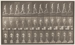 Levy 74. Nouseva kaltevuus, kulma 1 in 4 tekijältä Eadweard Muybridge
