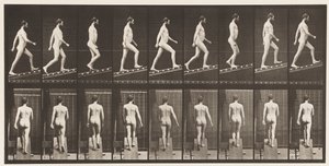 Levy 75. Nouseva kaltevuus, kulma 1 in 4, 1872-1885 tekijältä Eadweard Muybridge
