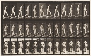 Levy 76. Nouseva kaltevuus tekijältä Eadweard Muybridge