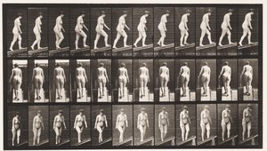 Levy 77. Nouseva kaltevuus tekijältä Eadweard Muybridge