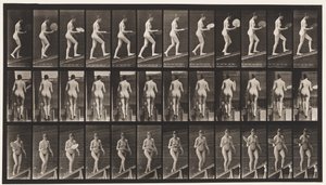 Levy 78. Nouseva kaltevuus, flirttaileva tuuletin, 1872-1885 tekijältä Eadweard Muybridge