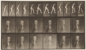 Levy 79. Nouseva kaltevuus tekijältä Eadweard Muybridge