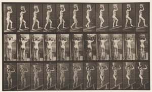 Levy 80. Nouseva kaltevuus tekijältä Eadweard Muybridge