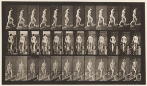 Levy 81. Nouseva kaltevuus. tekijältä Eadweard Muybridge