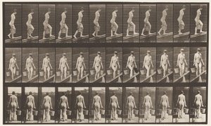 Levy 82. Nouseva kaltevuus, vesiämpäri kummassakin kädessä tekijältä Eadweard Muybridge
