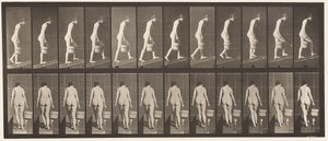 Levy 84. Nouseva kaltevuus, vesiämpäri oikealla kädellä tekijältä Eadweard Muybridge