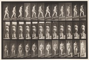 Levy 86. Nouseva kaltevuus tekijältä Eadweard Muybridge