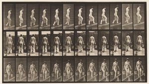 Levy 87. Nouseva kaltevuus, vesiämpäri kummassakin kädessä tekijältä Eadweard Muybridge