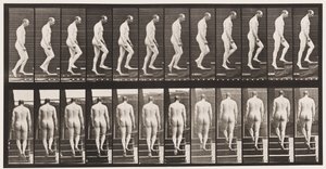 Levy 89. Nousevat portaat tekijältä Eadweard Muybridge