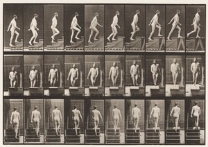 Levy 90. Nousevat portaat tekijältä Eadweard Muybridge