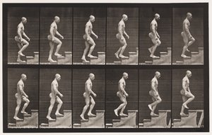 Levy 91. Nousevat portaat tekijältä Eadweard Muybridge