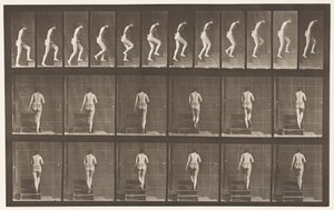 Levy 93. Nousevat portaat tekijältä Eadweard Muybridge