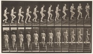 Levy 94. Nousevat portaat ympärilleen katsomassa; Altaan käsissä tekijältä Eadweard Muybridge