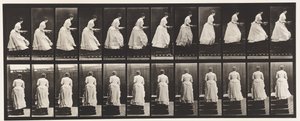 Levy 95. Nousevat portaat, allas käsissä, 1885 tekijältä Eadweard Muybridge