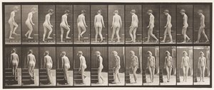 Levy 98. Kääntyvät ja nousevat portaat, 1872-1885 tekijältä Eadweard Muybridge