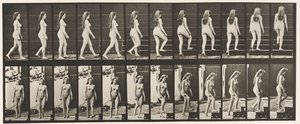 Levy 99. Kääntyvät ja nousevat portaat tekijältä Eadweard Muybridge
