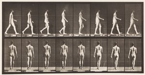 Levy 9. Kävely, 1872-1885 tekijältä Eadweard Muybridge