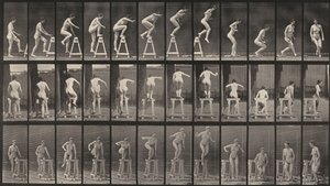 Kuvalaatta numero 171. Astuminen pukille, hyppääminen alas ja kääntyminen tekijältä Eadweard Muybridge