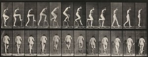 Taulu numero 180. Astuminen tuolille ja sen yli tekijältä Eadweard Muybridge