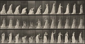 Taulu numero 306. Pallon poimiminen ja heittäminen tekijältä Eadweard Muybridge