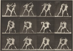 Kilven numero 340. Nyrkkeily, avoin käsi (kengät),1887 (kuva). tekijältä Eadweard Muybridge