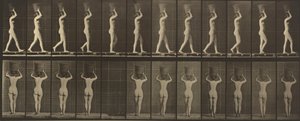 Kilpi numero 34. Kävelee ja kantaa 15 kilon koria päässään, kädet kohotettuna,1887 (kuva). tekijältä Eadweard Muybridge