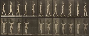 Kilven numero 34. Kävely ja kantaminen 15-lb. kori päässä, kädet koholla tekijältä Eadweard Muybridge