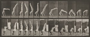 Kilpi numero 371. Acrobat, pystysuora "press up",1887 (kuva) tekijältä Eadweard Muybridge