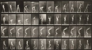 Taulu numero 488. A: Nurmikkotennis. B: Käsipainot. C: Käsillä kävely. D: Portaiden nouseminen tekijältä Eadweard Muybridge