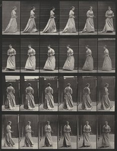 Taulu numero 48. Kävely ja kääntyminen kukkakimppu molemmissa käsissä tekijältä Eadweard Muybridge
