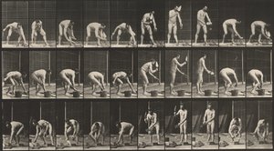 Kilpi numero 506. Muuraus,1887 (kuva) tekijältä Eadweard Muybridge