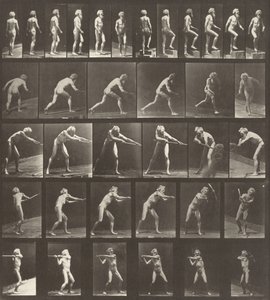 Kilven numero 521. A: Kävely. B: Askeleen nouseminen. C: Levyn heittäminen. D: Lapiolla. E, F: Käyttämällä hakkua tekijältä Eadweard Muybridge