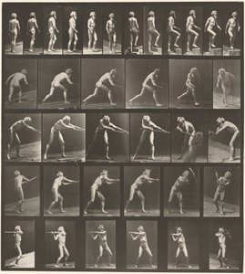 Kilpi numero 521. A: Kävellen. B: Nouseva askelma. C. Levyn heitto. D: Lapion käyttö. E, F. Hakun käyttö, 1887 (kuva). tekijältä Eadweard Muybridge