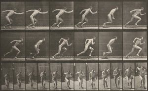  tekijältä Eadweard Muybridge