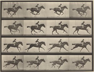 Taulu numero 626. Laukka, täysiverinen ruunikko tamma Annie G. tekijältä Eadweard Muybridge