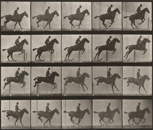 Taulu numero 639. Satuloitu "Daisy" hyppäämässä esteen yli tekijältä Eadweard Muybridge