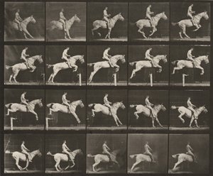 Kuvalaatta numero 642. Satuloitu "Pandora" hyppää esteen yli; ratsastaja on alaston tekijältä Eadweard Muybridge