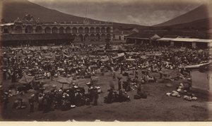 Plaza ja varakuninkaan palatsi-Antigua de Guatemala,1877 (kuva) tekijältä Eadweard Muybridge