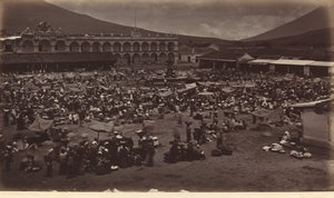 Plaza ja Viceroy