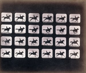 Juoksu (laukkaa) kirjoittanut Eadweard J. Muybridge tekijältä Eadweard Muybridge