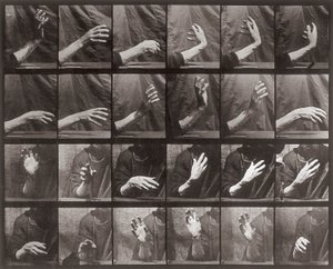 Sekvenssi käden liikkeellä, Animal Locomotionin levy 535 (kollotyyppi) tekijältä Eadweard Muybridge