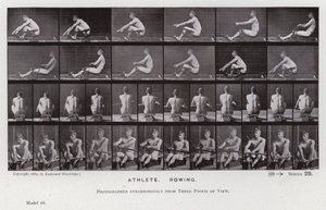 Ihmishahmo liikkeessä: urheilija, soutu (m/v kuva) tekijältä Eadweard Muybridge